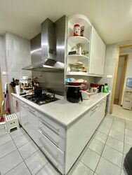 Cairnhill Crest (D9), Condominium #535243661